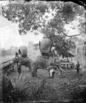 Old pictures of Thailand